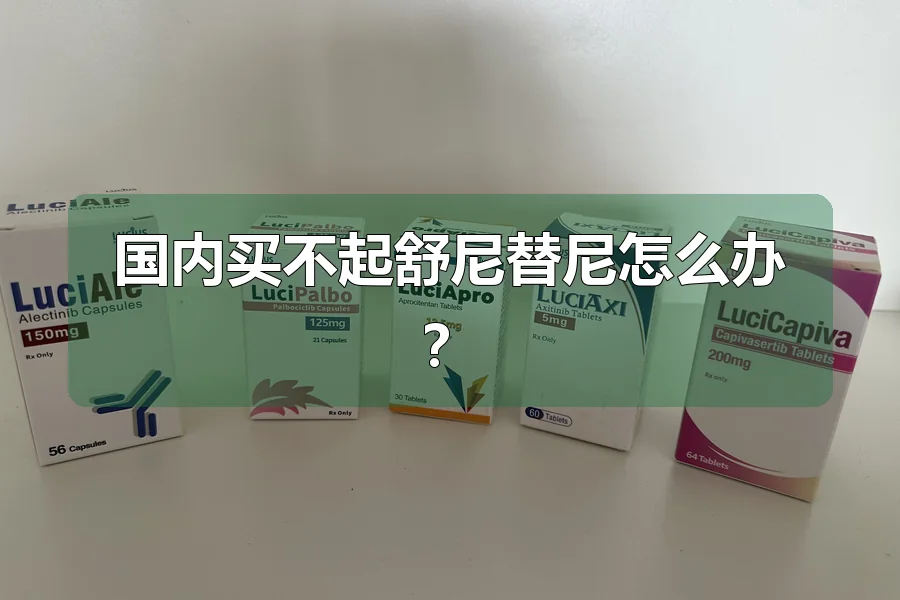 国内买不起舒尼替尼怎么办?